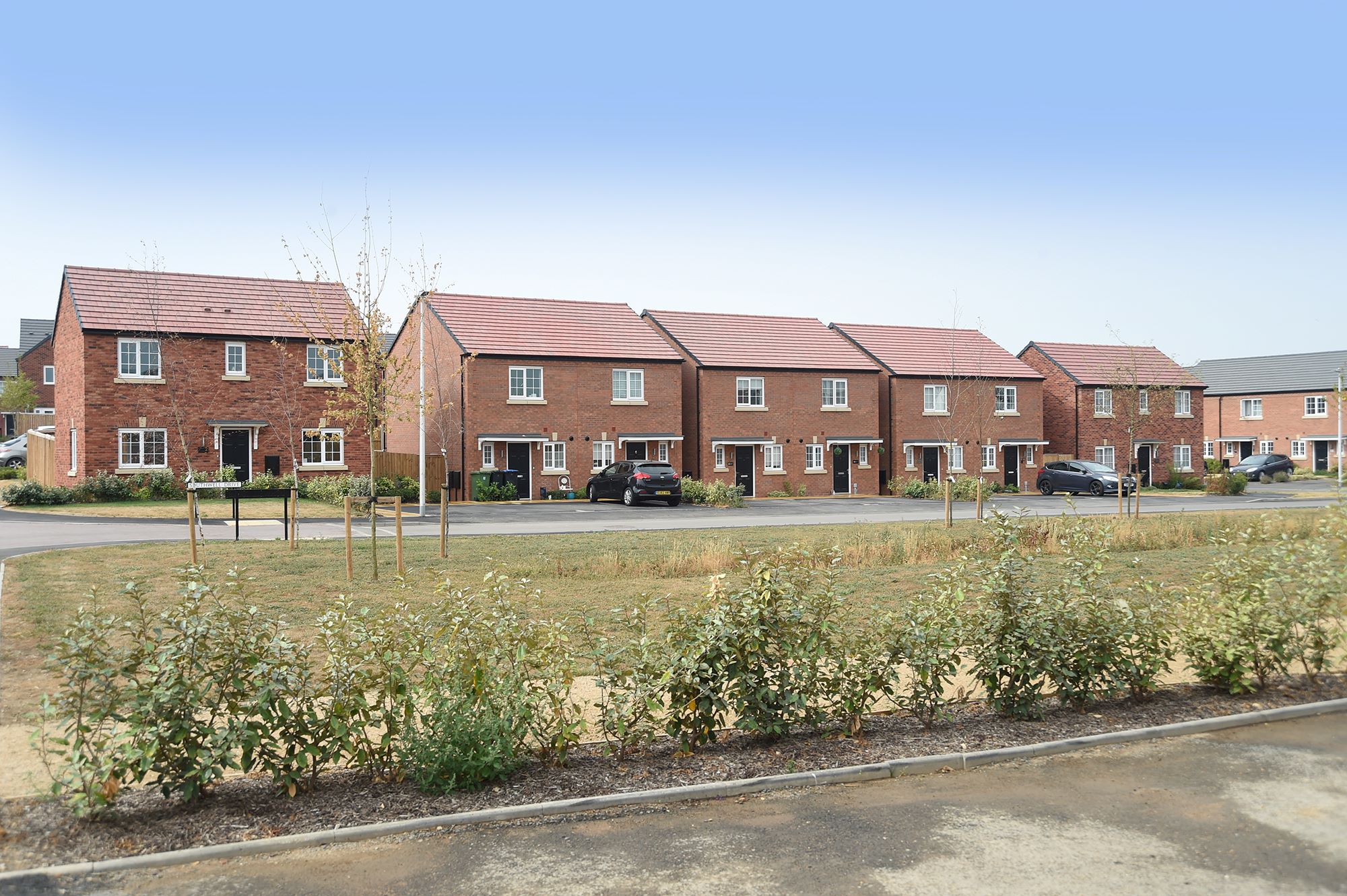 Rugby homes shop