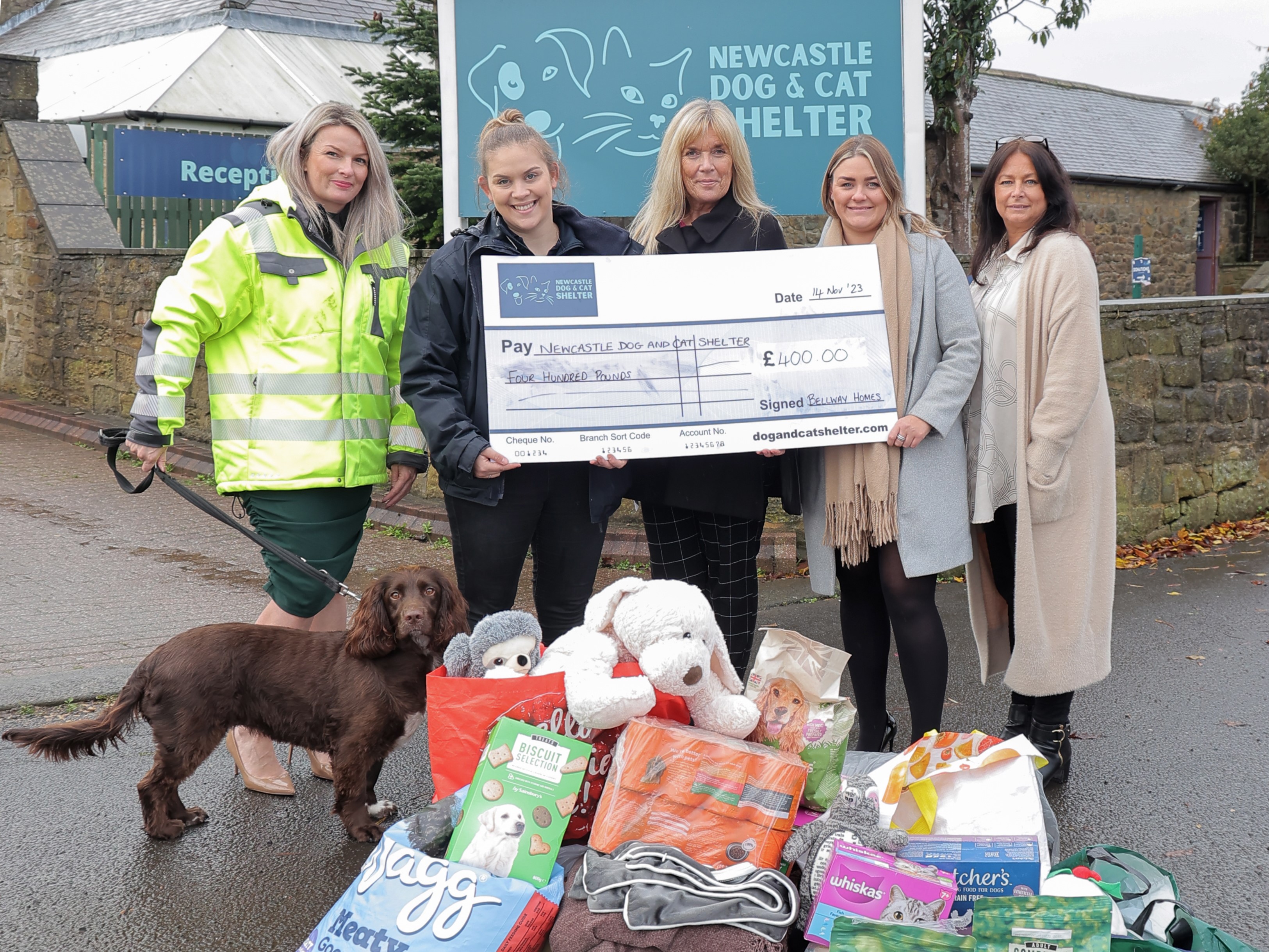 Lead sales animal shelter